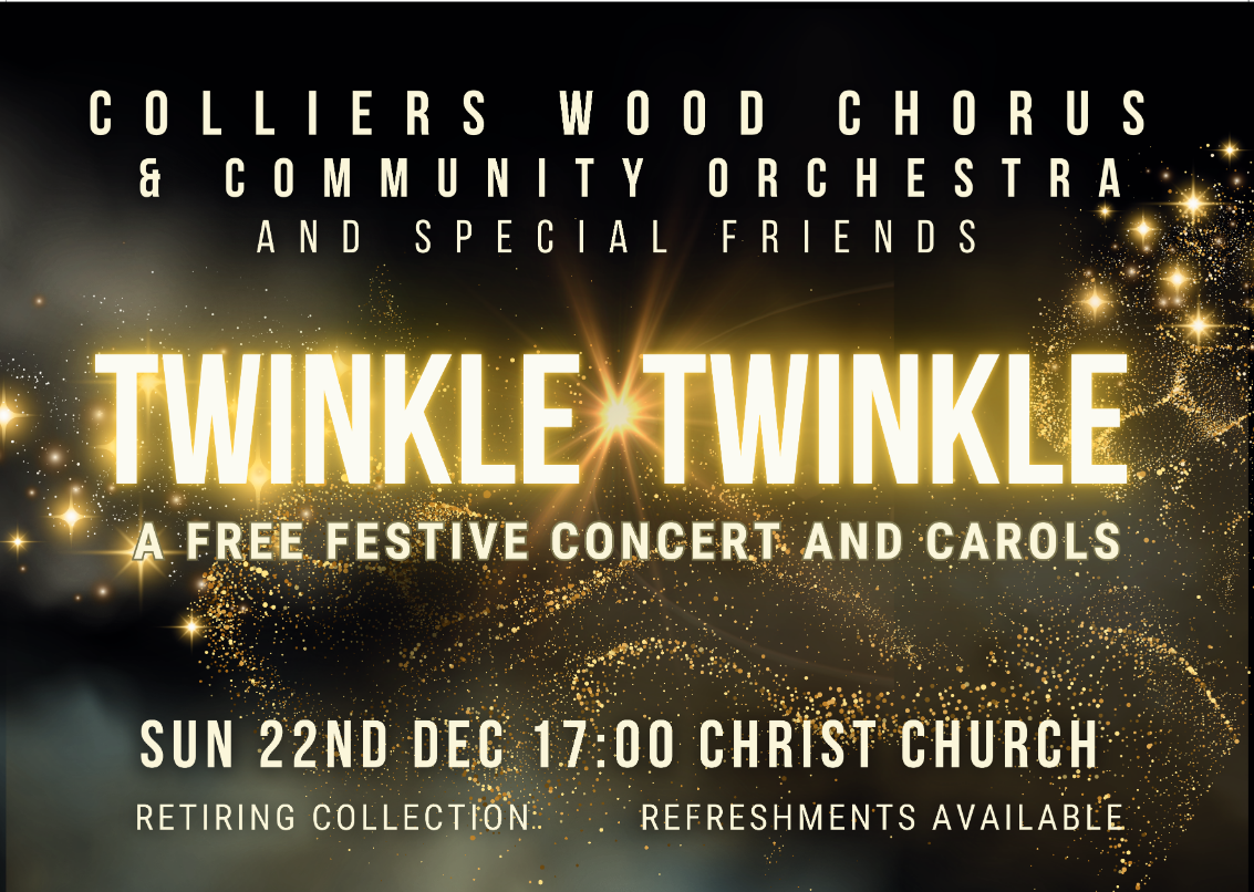 Twinkle Twinkle - our Christmas Concert